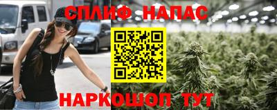 крисы Волжский